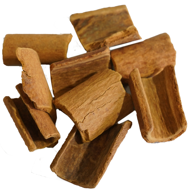 육계 — Cinnamomum cassia